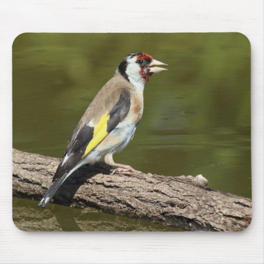 カルデュエリス マウスパッド (正面)