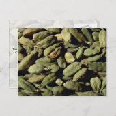 カルドマムの種 ポストカード (正面/裏面)