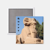 カルナク寺のラム頭のスフィンクスのクローズアップ マグネット (正面/裏面)