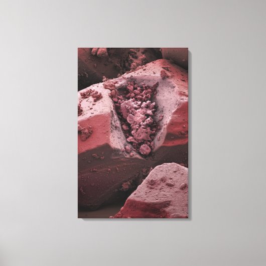 カルニチン キャンバスプリント (正面)