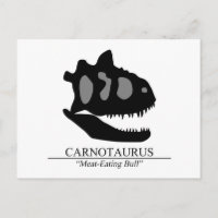 カルノタウルスの頭骨