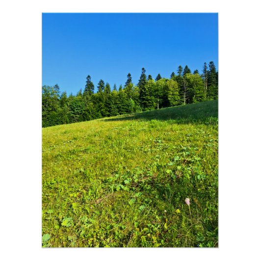 カルパチアの緑の牧草地 – ルーマニアの山のプリント ポスター (正面)