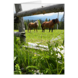 カルパティア山脈-ウクライナ