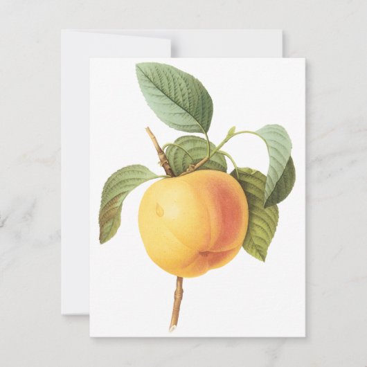 カルビルアップルバイピエールルドゥート招待状 (正面)