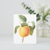 カルビルアップルバイピエールルドゥート招待状 (スタンド正面)