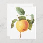 カルビルアップルバイピエールルドゥート招待状 (正面/裏面)