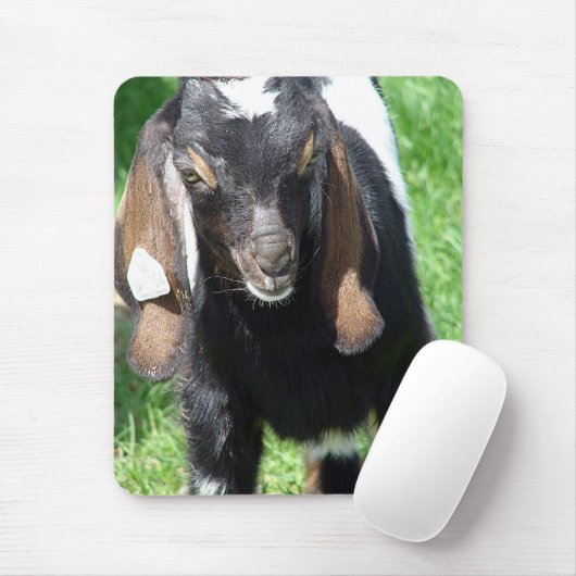 カルビン マウスパッド (マウス)