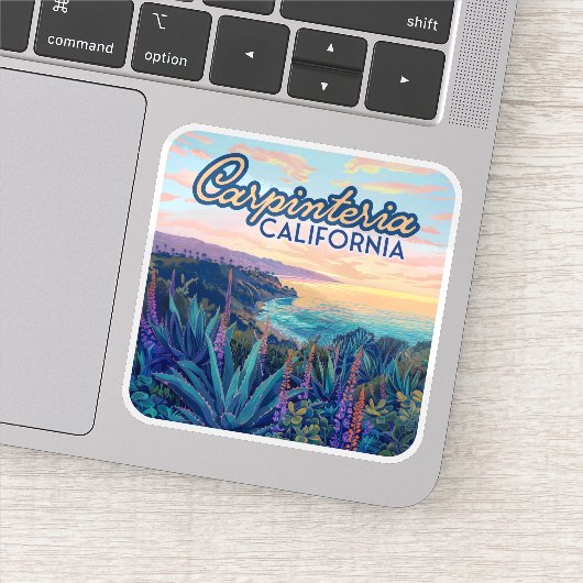 カルピテリアカリフォルニアサンタバーバラベンチュラビーチ シール (詳細)
