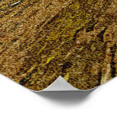 カルピテリアビーチ ポスター (角)