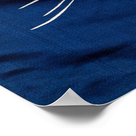 カルプスと波 ポスター (角)