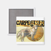 カルペオーラムラテンゴールデン金ゴールドレトリバーを押収 マグネット (正面/裏面)