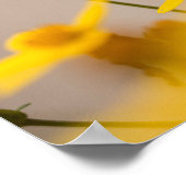 カルペディエムが日のポスターを押収 ポスター (角)