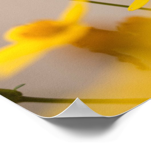 カルペディエムが日のポスターを押収 ポスター (角)