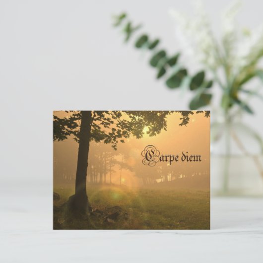 カルペディエムポストカード ポストカード (スタンド正面)