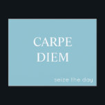 カルペディエムラテン引用文はがき – ターコイズ ポストカード<br><div class="desc">ラやる気を起こさせるテンフレーズ「carpe diem」を使用したポストカード。古代ロ人気があるーマのフレーズは一般的に「日を奪う」と訳される。それは私たちに思い出させる毎日を最大限に活用し、抑え込むのではなく、私たちの道を行く機会を捉え来ることを思い出す。ラテン語のレタリングはローマクラシカルの公感じ式の碑文を喚起し、英訳は対照的なフォントである。印刷はがきは、ターコイズの青い背景に鮮明な白い文字を備えている。</div>