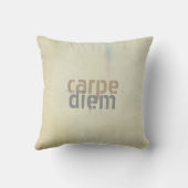 カルペディエム装飾用クッションシャビーシックな装飾 クッション (裏面)