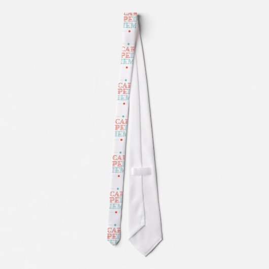 カルペディエム ネクタイ (裏面)