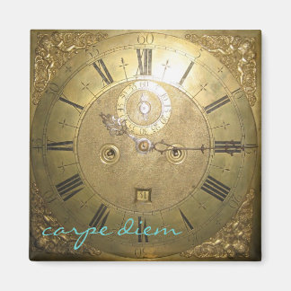 カルペディエムII マグネット