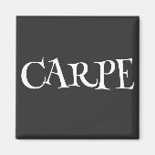 カルペ マグネット (正面)