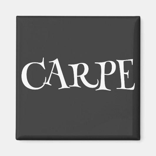 カルペ マグネット (正面)