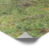 カルボエロ ポスター (角)