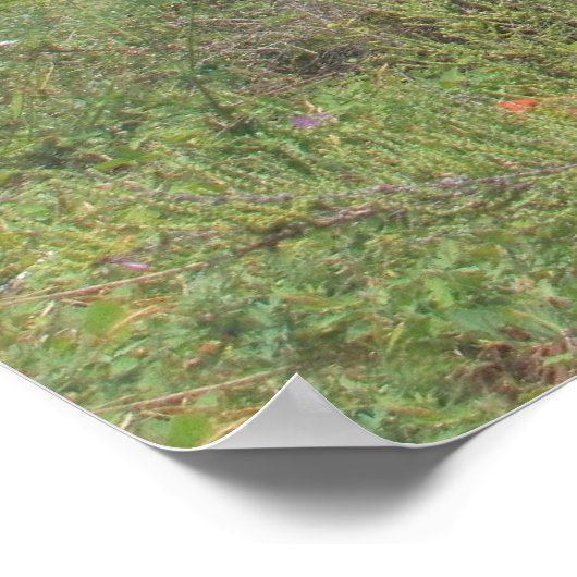 カルボエロ ポスター (角)