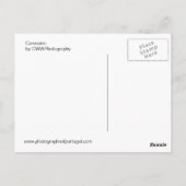 カルボエロ ポストカード (裏面)