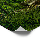 カルボ深いフォレスト2 ポスター (角)