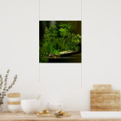 カルボ深いフォレスト2 ポスター (キッチン)