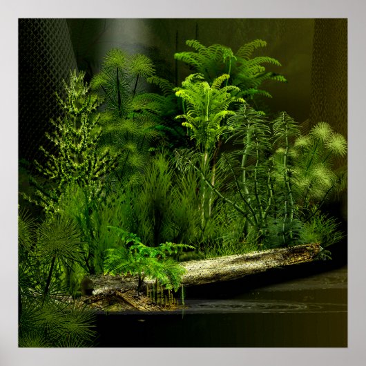 カルボ深いフォレスト2 ポスター (正面)