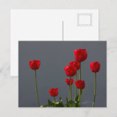 カルマーレレッドチューリップCC0032 ポストカード (正面/裏面)