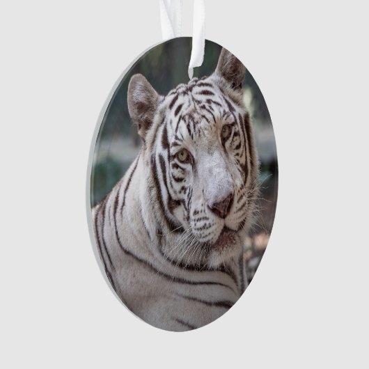 カルマ –  オーナメント (正面)