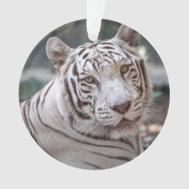 カルマ –  オーナメント