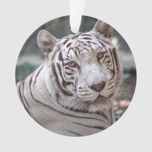 カルマ –  オーナメント (正面)