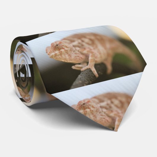 カルマ ネクタイ (ロール)