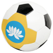 カルミキア国旗 サッカーボール (3/4)