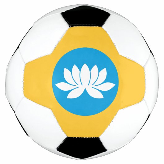 カルミキア国旗 サッカーボール (正面)