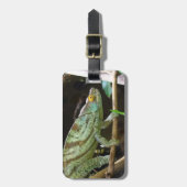 カルムマパルソニ ラゲッジタグ (正面縦)