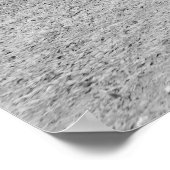 カルメット記念碑： 1900 ポスター (角)