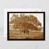 カルメル・バレー夏の小屋 ポストカード (正面/裏面)