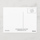 カルメル・バレー夏の小屋 ポストカード (裏面)