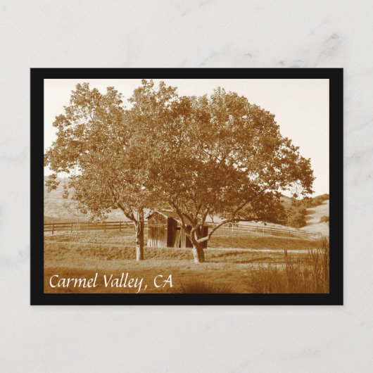 カルメル・バレー夏の小屋 ポストカード (正面)