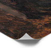 カルメンガウディントゥールーズ – ロートレックファインアート ポスター (角)