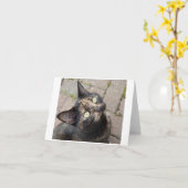 カルメン カード (黄色い花)