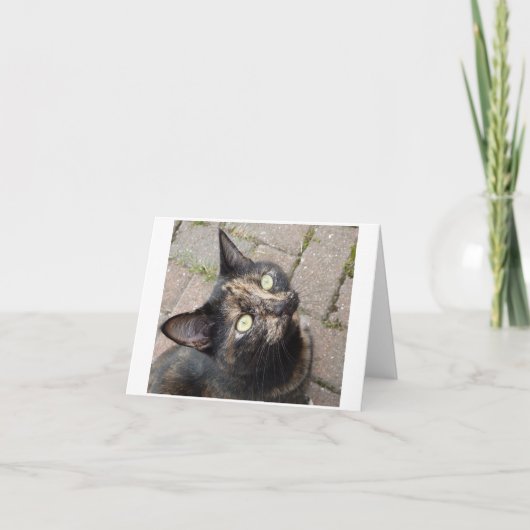 カルメン カード (正面)