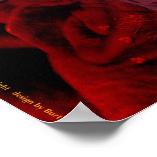 カルメン ポスター (角)