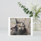 カルメン ポストカード (スタンド正面)