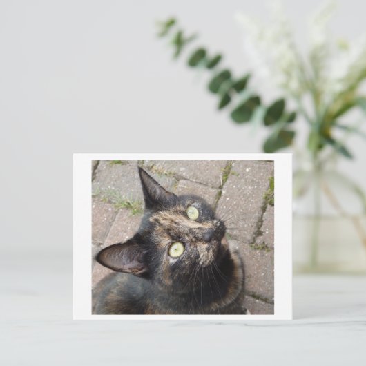 カルメン ポストカード (スタンド正面)