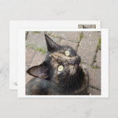 カルメン ポストカード (正面/裏面)