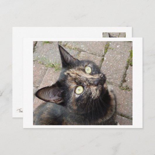 カルメン ポストカード (正面/裏面)